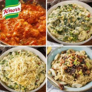 A collage of four images showing different dishes made with Knorr products, including a tomato-based sauce, creamy spinach dip, and dishes with toppings.